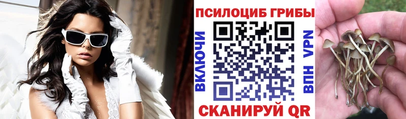 Псилоцибиновые грибы мухоморы  где можно купить наркотик  Островной 